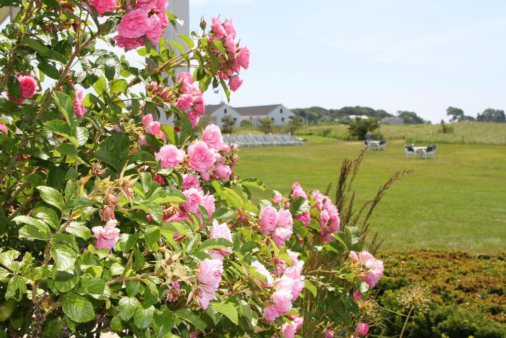 The Seaside Inn 肯纳邦克 外观 照片